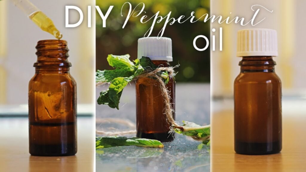 How to make DIY Peppermint Oil at home